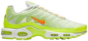 Air Max Plus TN 'Colour Flip - Light'