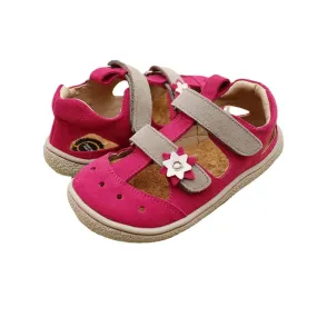 Tipsietoes Comfortable Beach Shoes for Kids